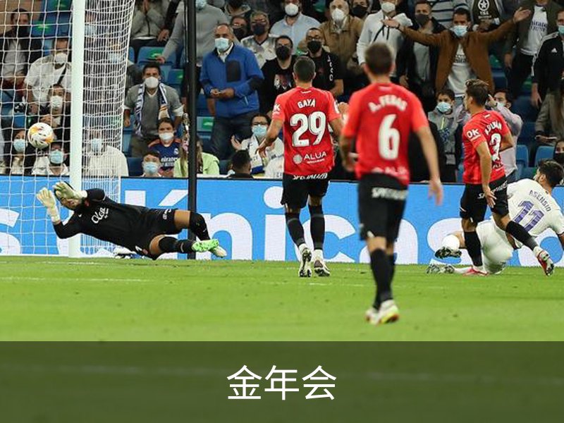 金年会概况